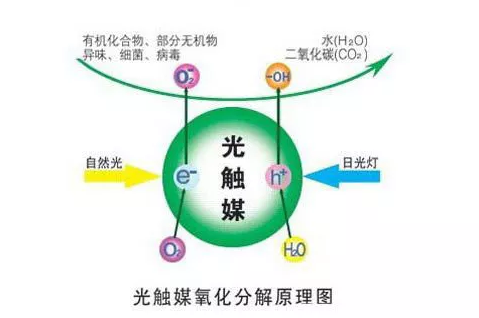 光觸媒能除甲醛嗎？