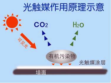 新房除甲醛需要注意哪些？都有哪些有效去除的方法？