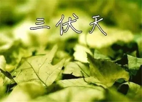 三伏天更要找杭州甲醛檢測公司上門采樣嗎？